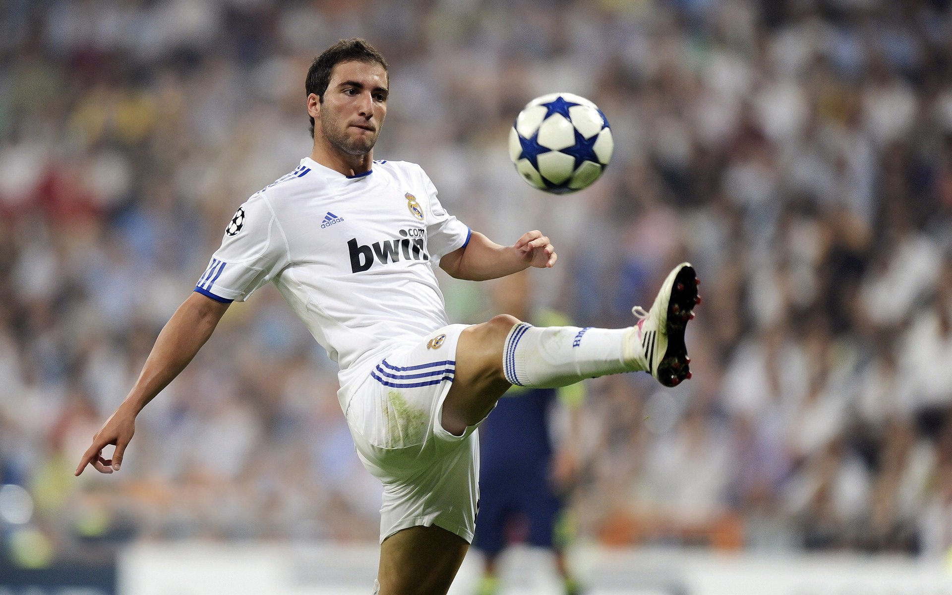 当前国家队由阿里·布齐安尼执教