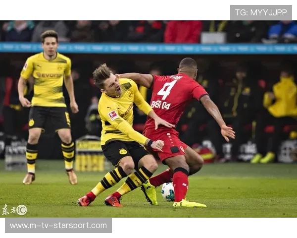 飞身膝撞击脸部震到解说 飞身膝撞击脸部震到解说