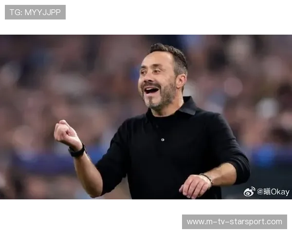 布莱顿的欧战首秀：德泽尔比的挑战与机遇，德布莱尔门窗有限公司