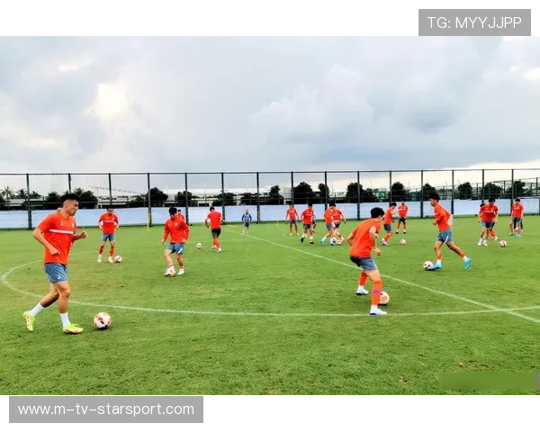 球队新援适应情况积极，球队新援适应情况积极分析